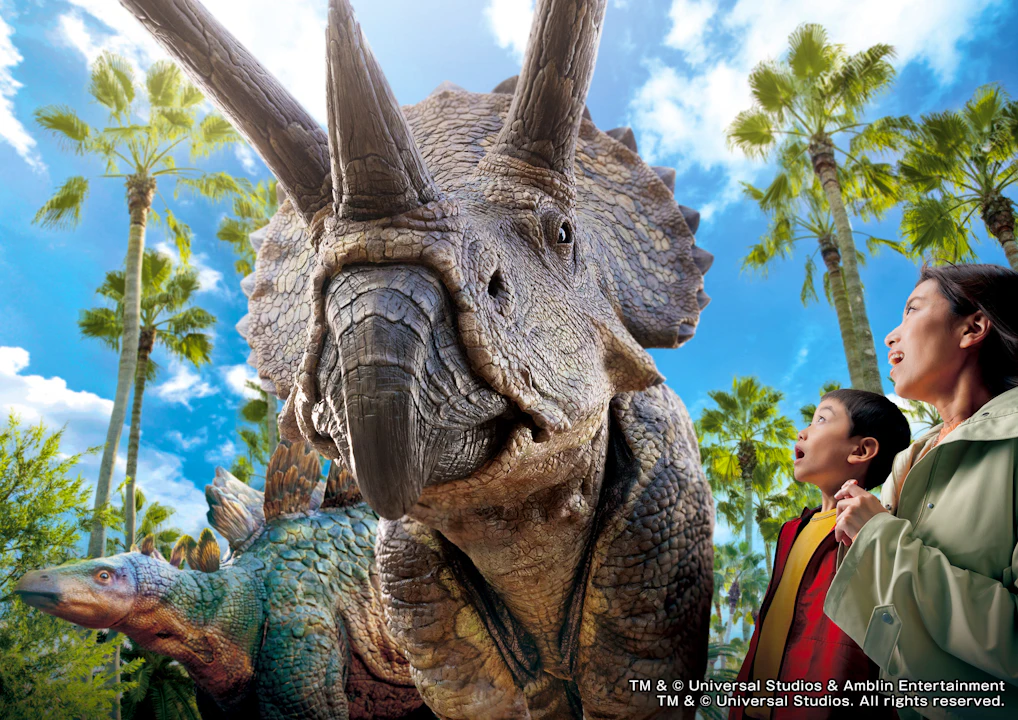 Universal Studios Japan - Express Pass Category